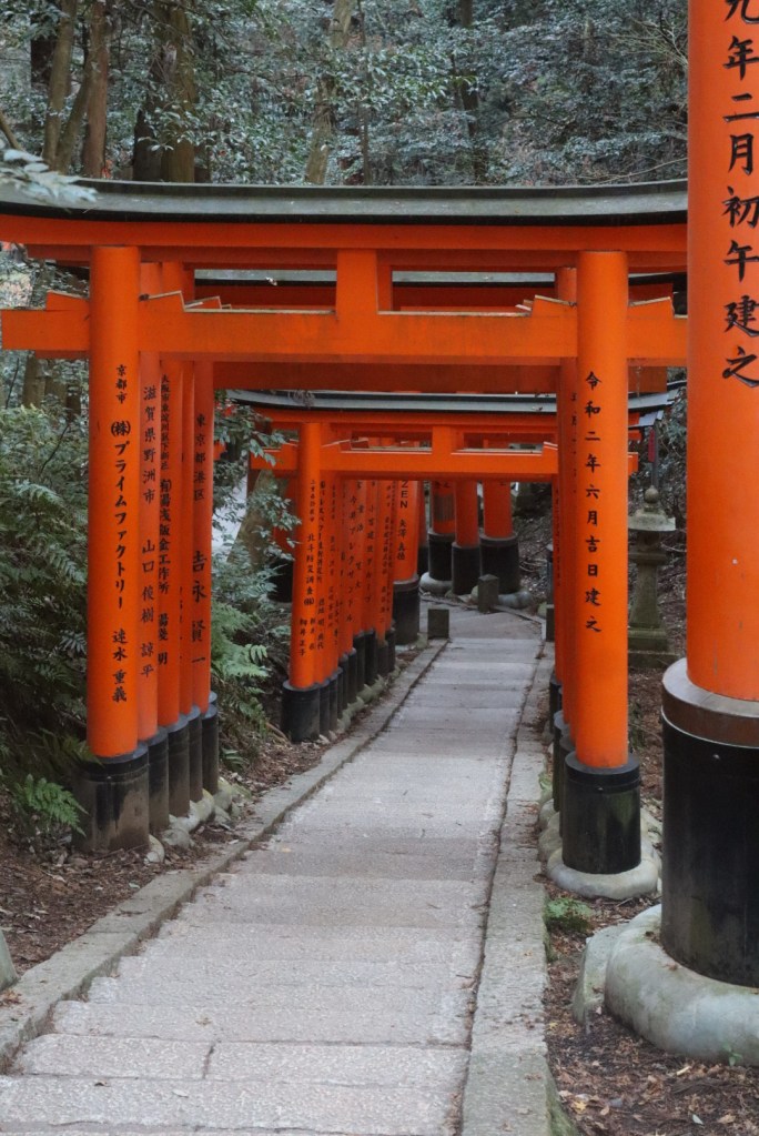 Un sentiero di pietra fiancheggiato da torii arancioni nel sottobosco, con scritte giapponesi sui pilastri.